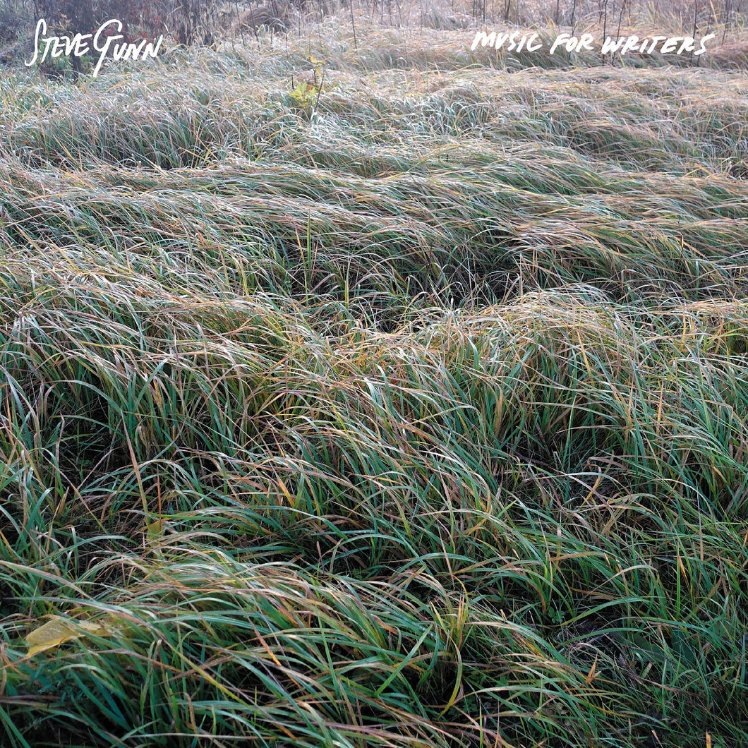 Steve Gunn - Music For Writers LP