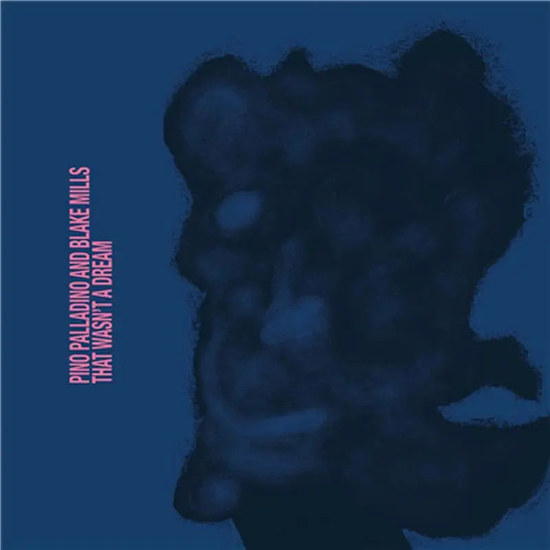 Pino Palladino & Blake Mills - That Wasn't A Dream LP