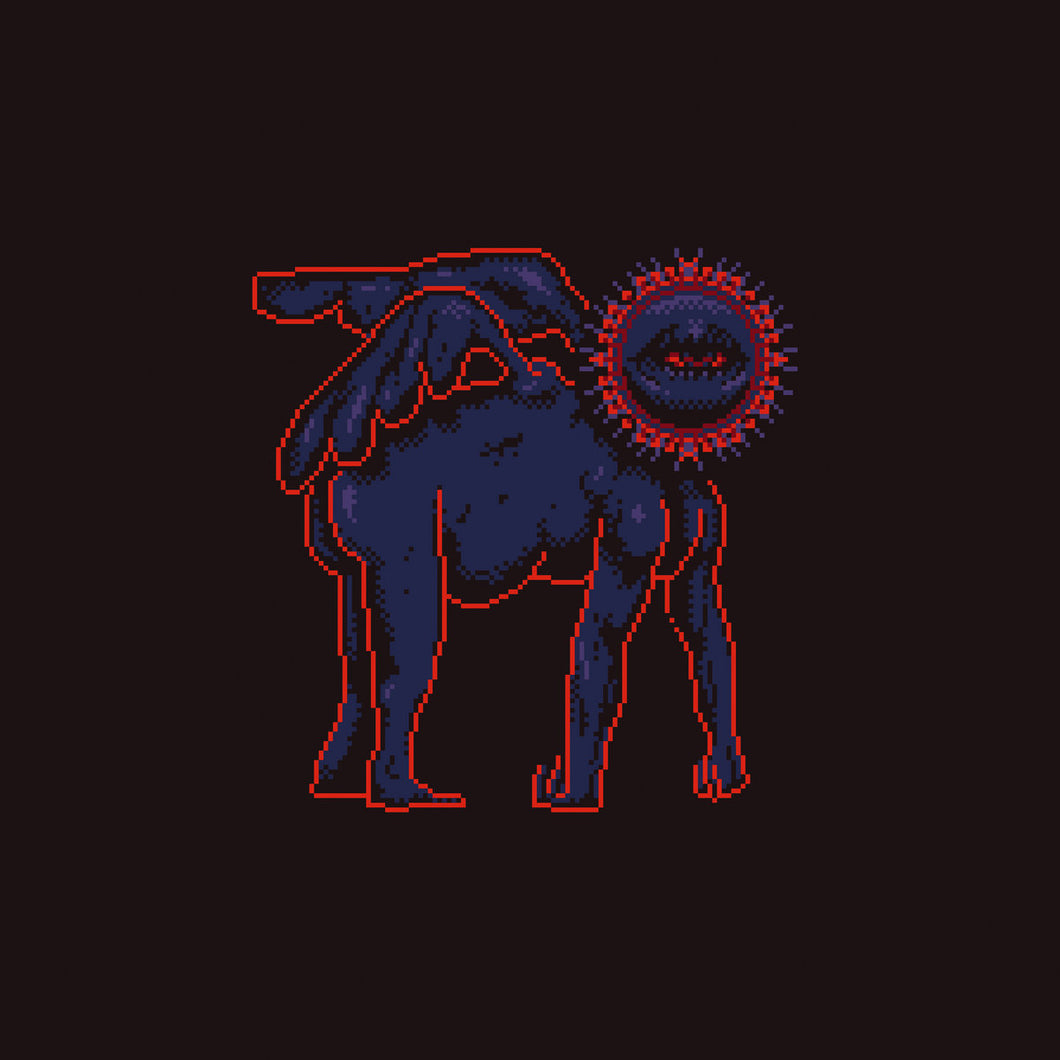 SANAM - Sametou Sawtan LP