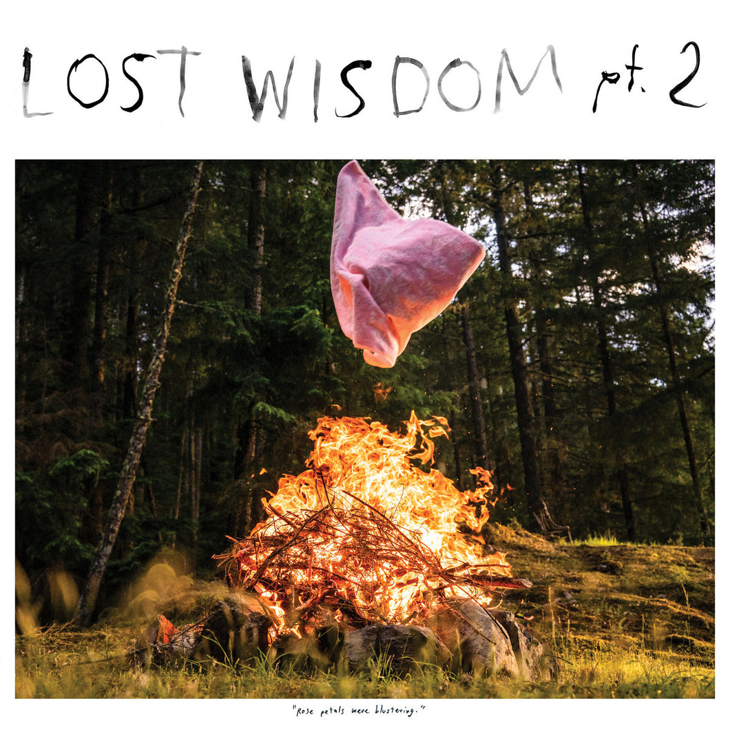 Mount Eerie - Lost Wisdom Pt. 2 LP