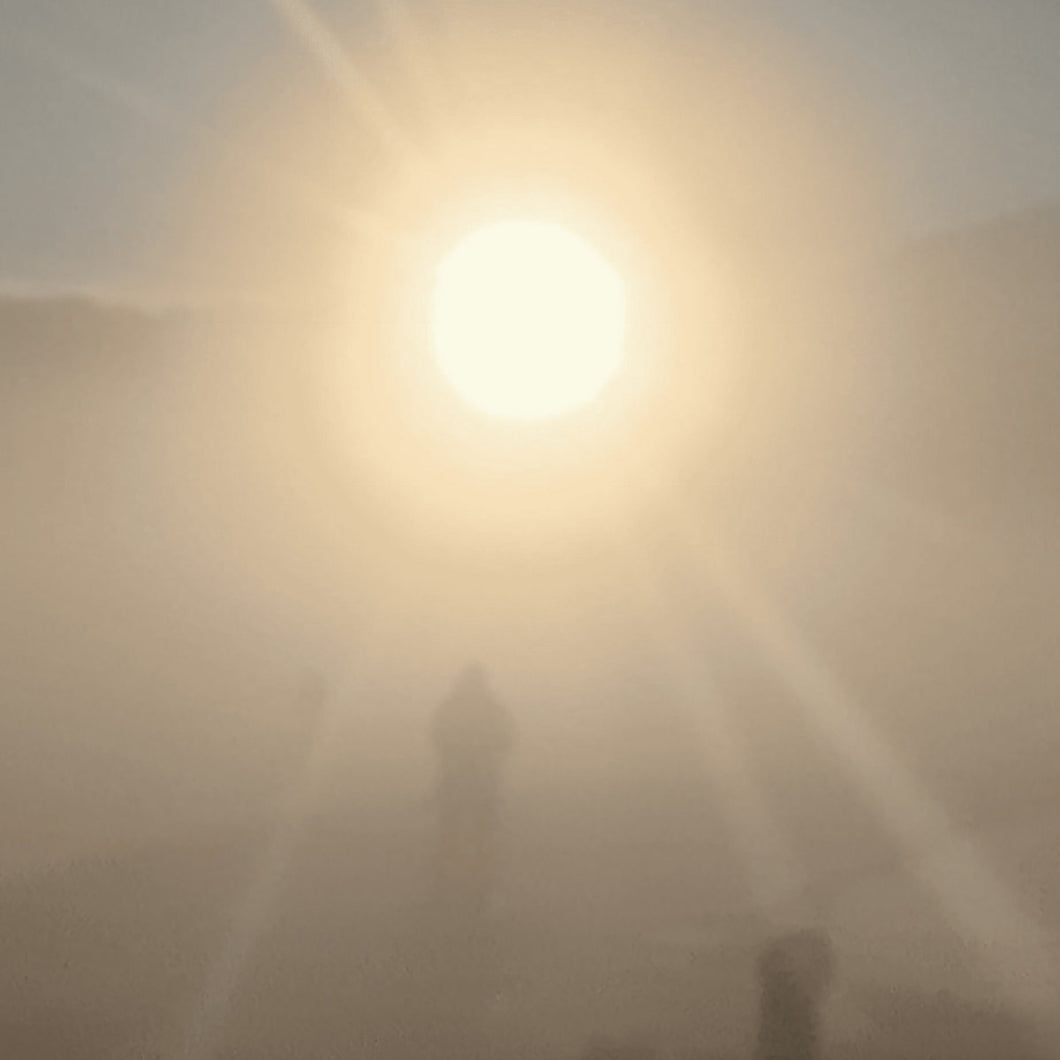 Florian T M Zeisig - A New Life LP