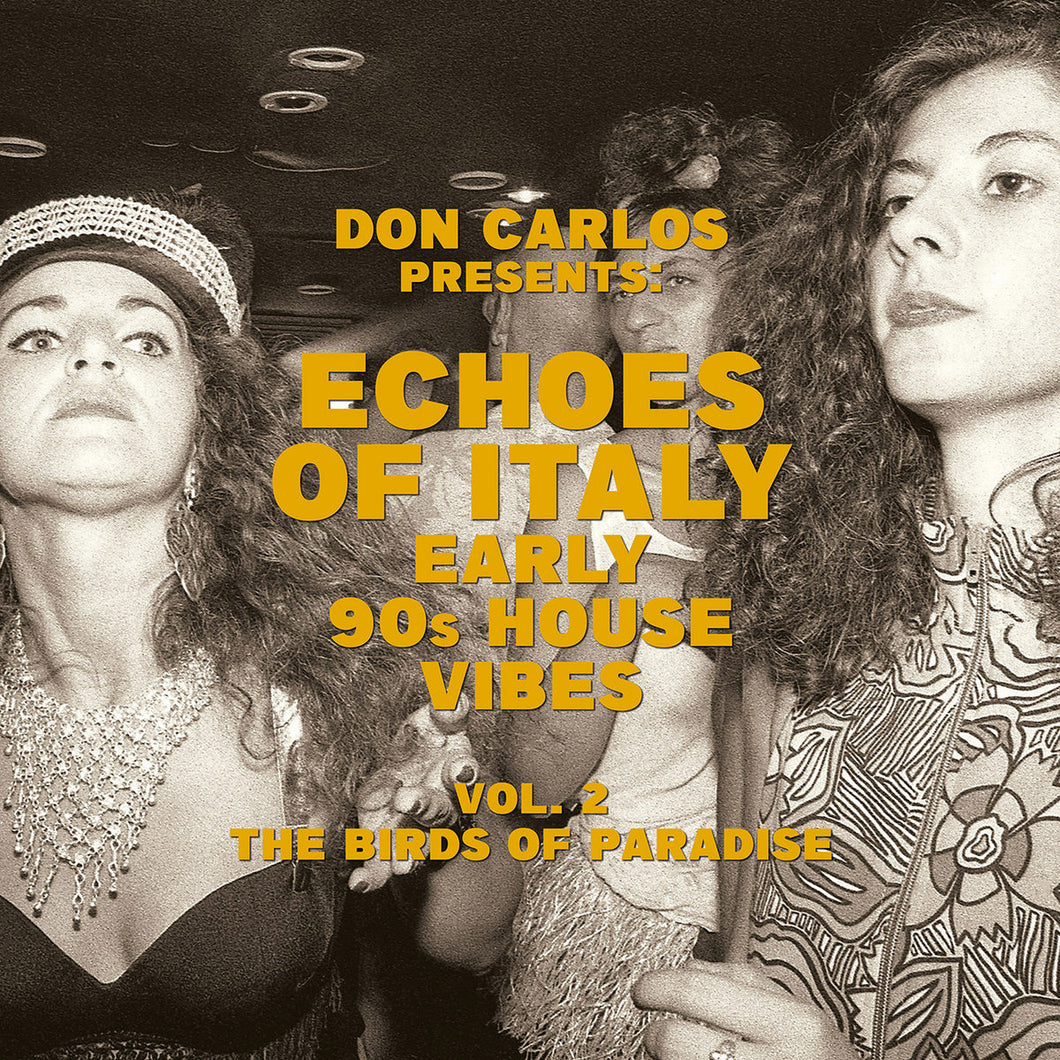 V/A - Echoes Of Italy Vol 2: Early 90s House Vibes 2LP