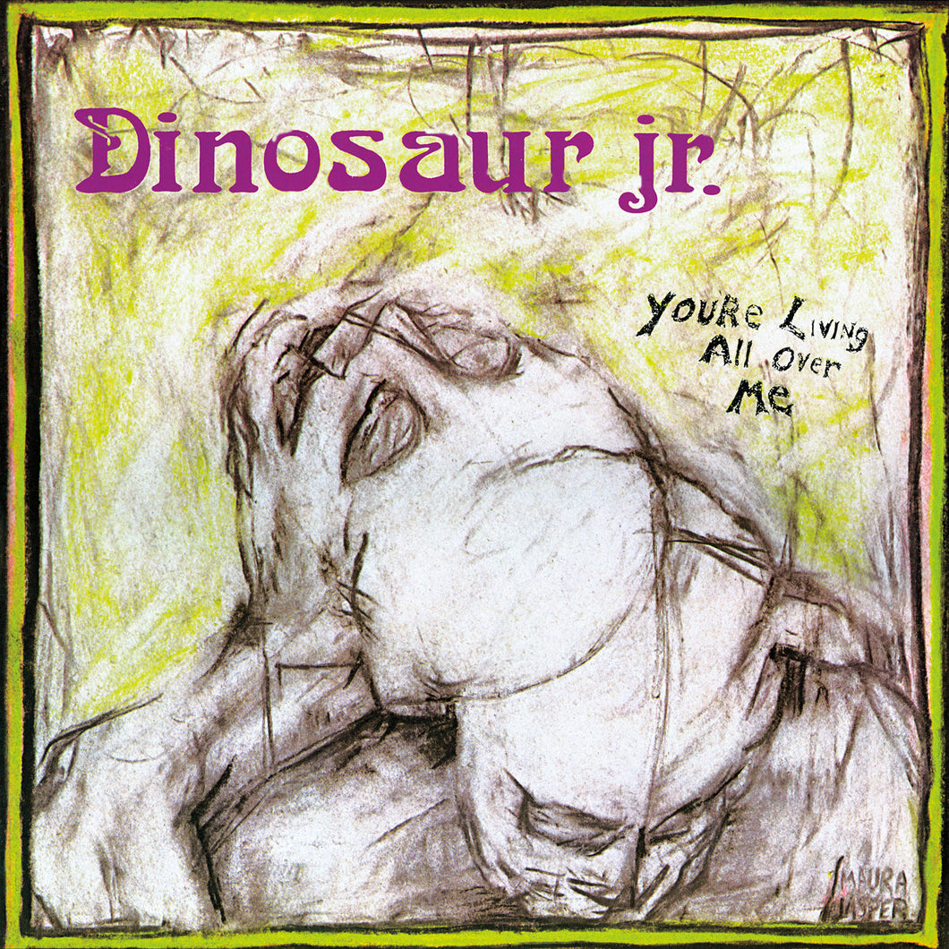 Dinosaur Jr. - You're Living All Over Me LP