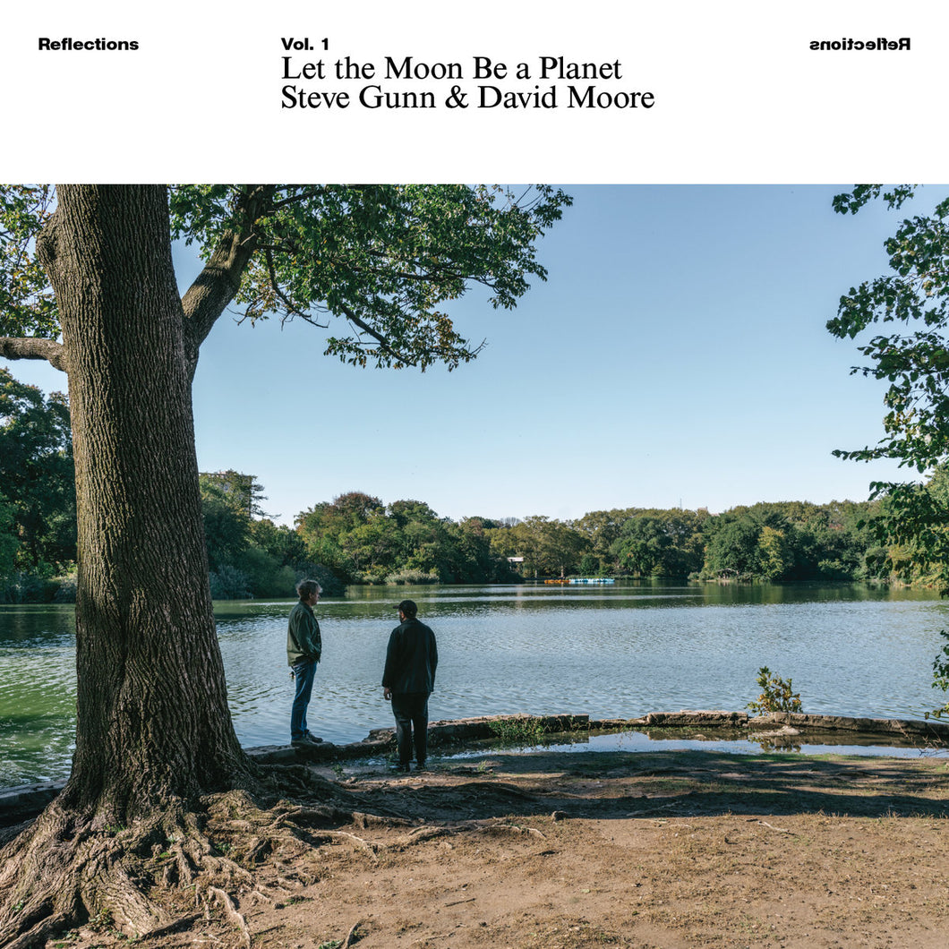 Steve Gunn & David Moore - Let The Moon Be A Planet LP