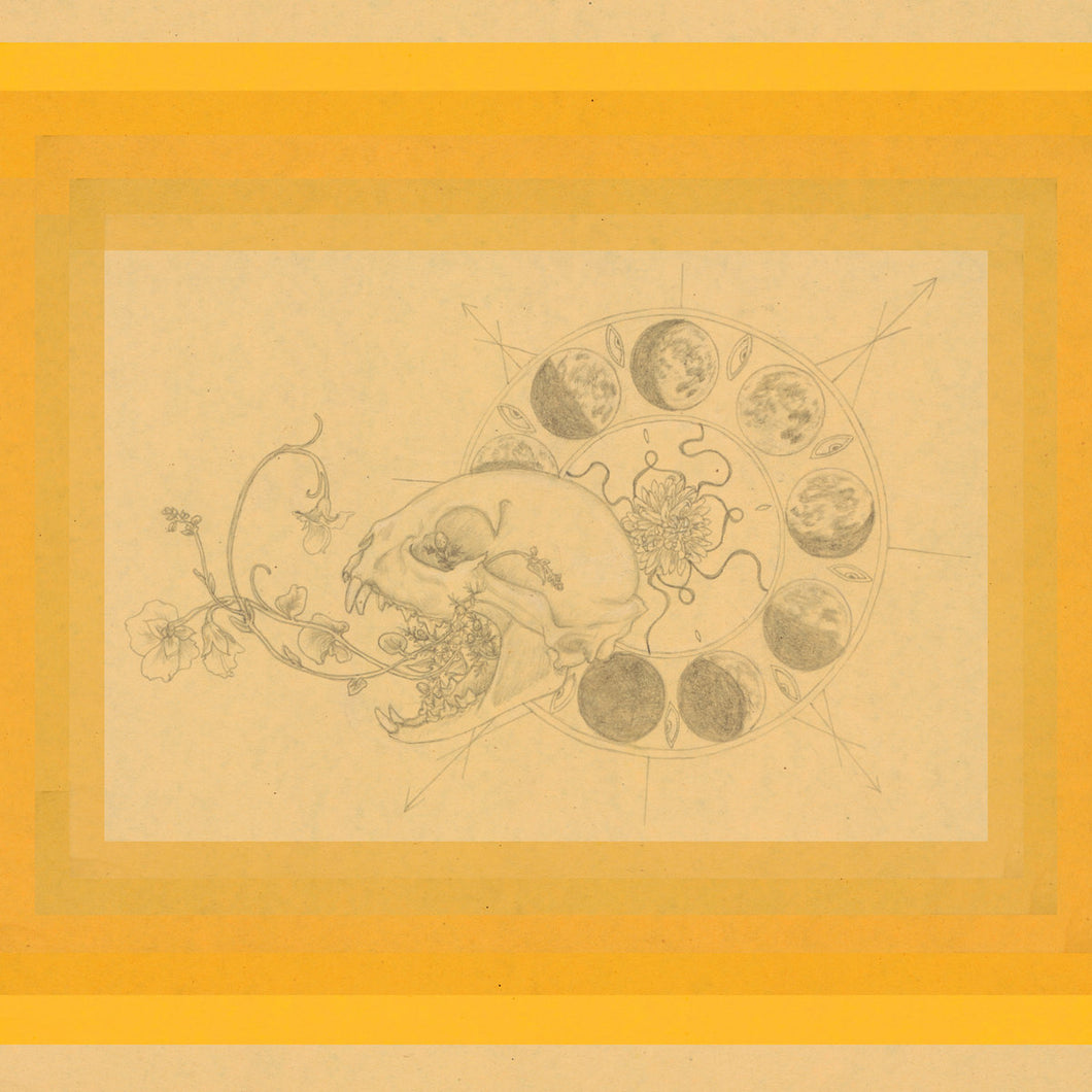 Alex Archibald - Cat Got Tongue LP – Dandelion Records