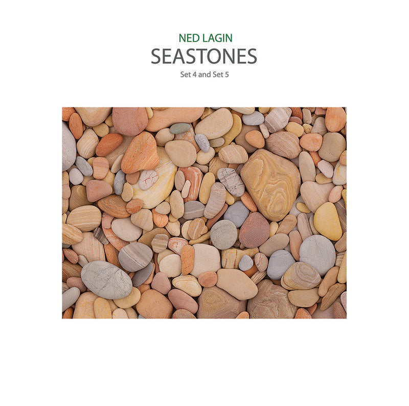 Ned Lagin - Seastones (Set 4 and Set 5) LP