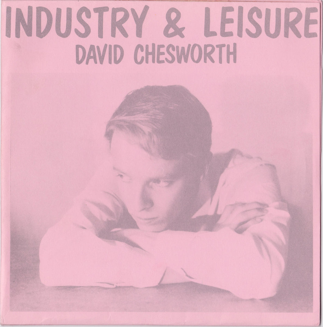 David Chesworth - Industry & Leisure LP