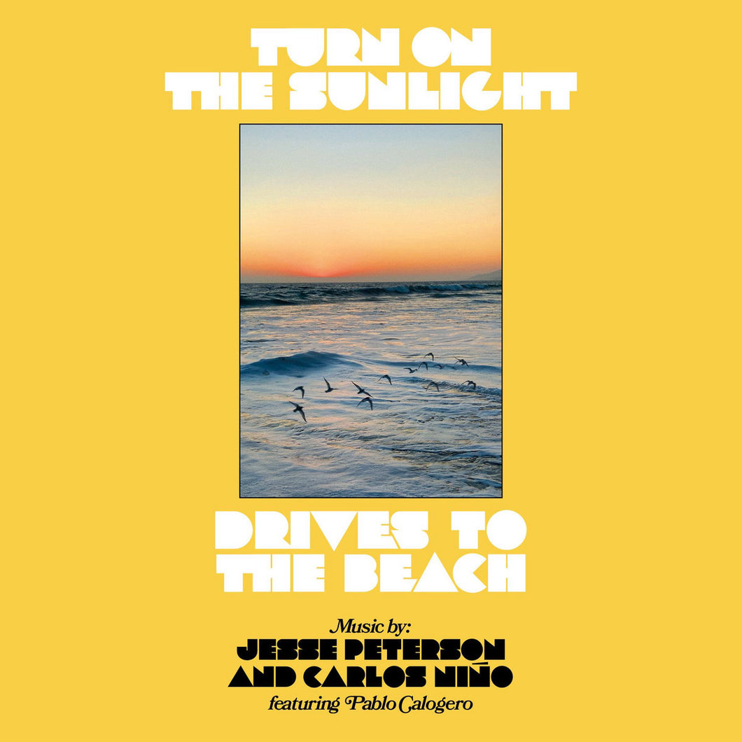 Turn On The Sunlight - Drives To The Beach LP