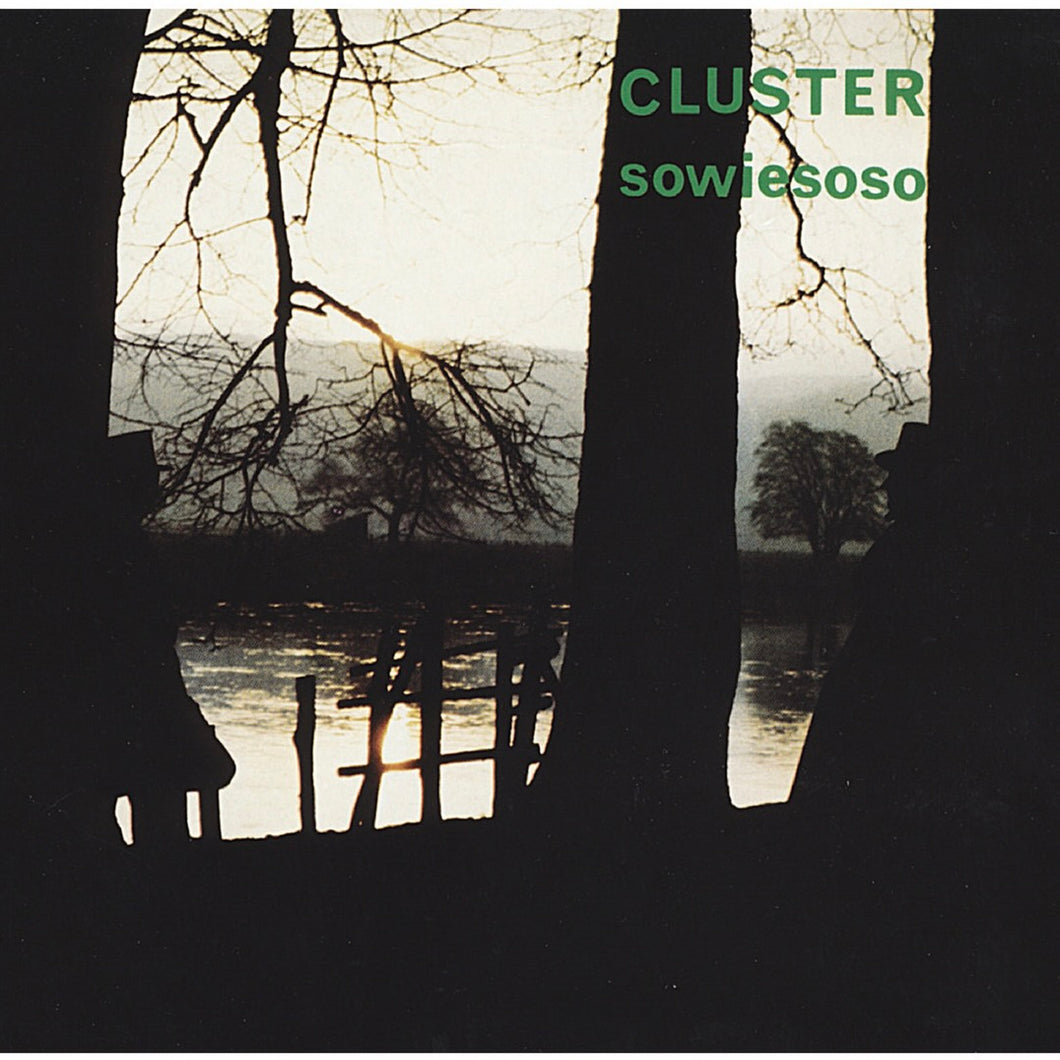 Cluster - Sowiesoso LP