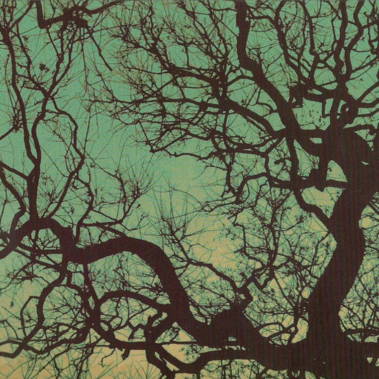 洋楽 Forerunners - Lifecycle 12\" Rare Vinyl 洋楽 Forerunners - Lifecycle 12