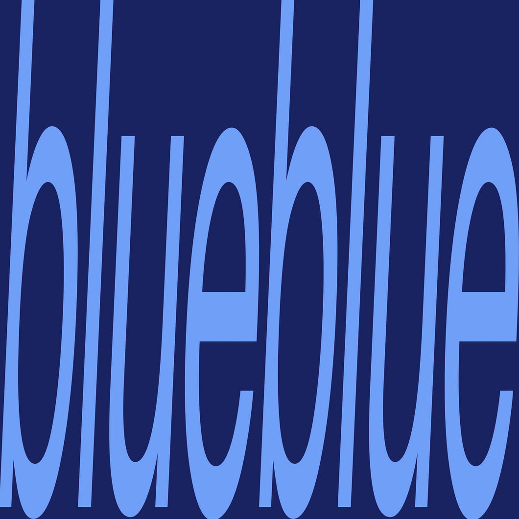 Sam Gendel - Blueblue LP